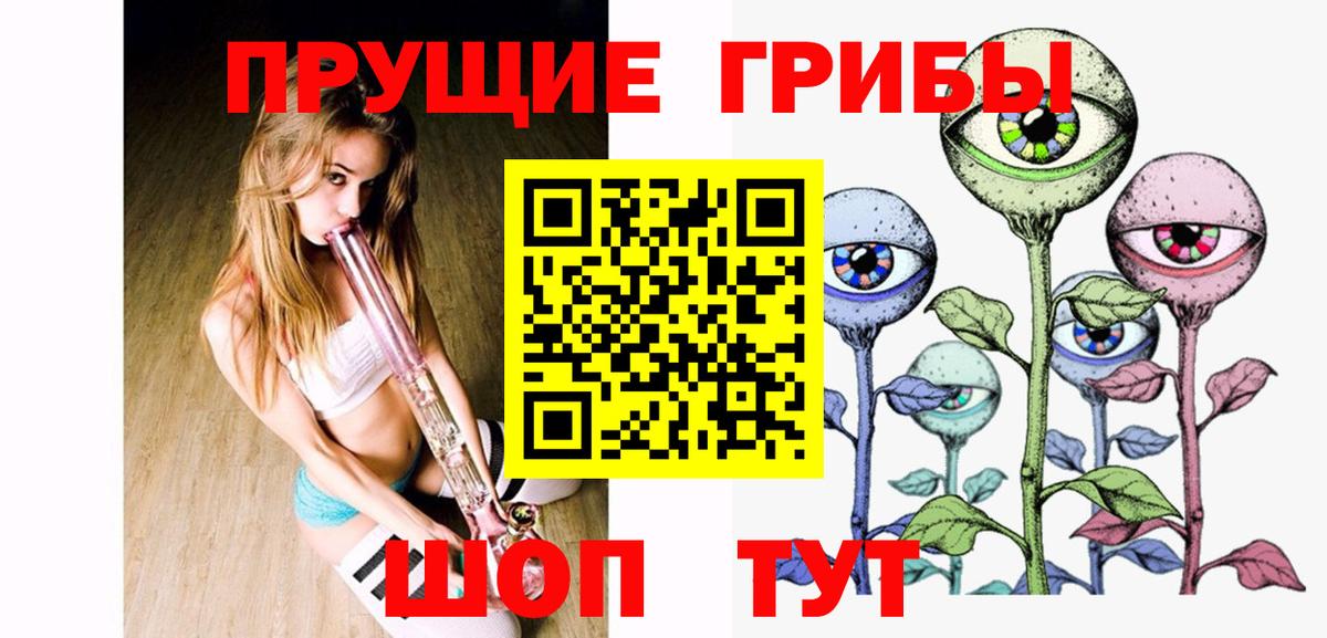 Галлюциногенные грибы Psilocybe Евпатория